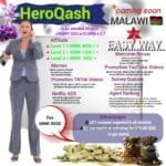 Unlocking New Income Streams: How to Earn Money on HeroQash